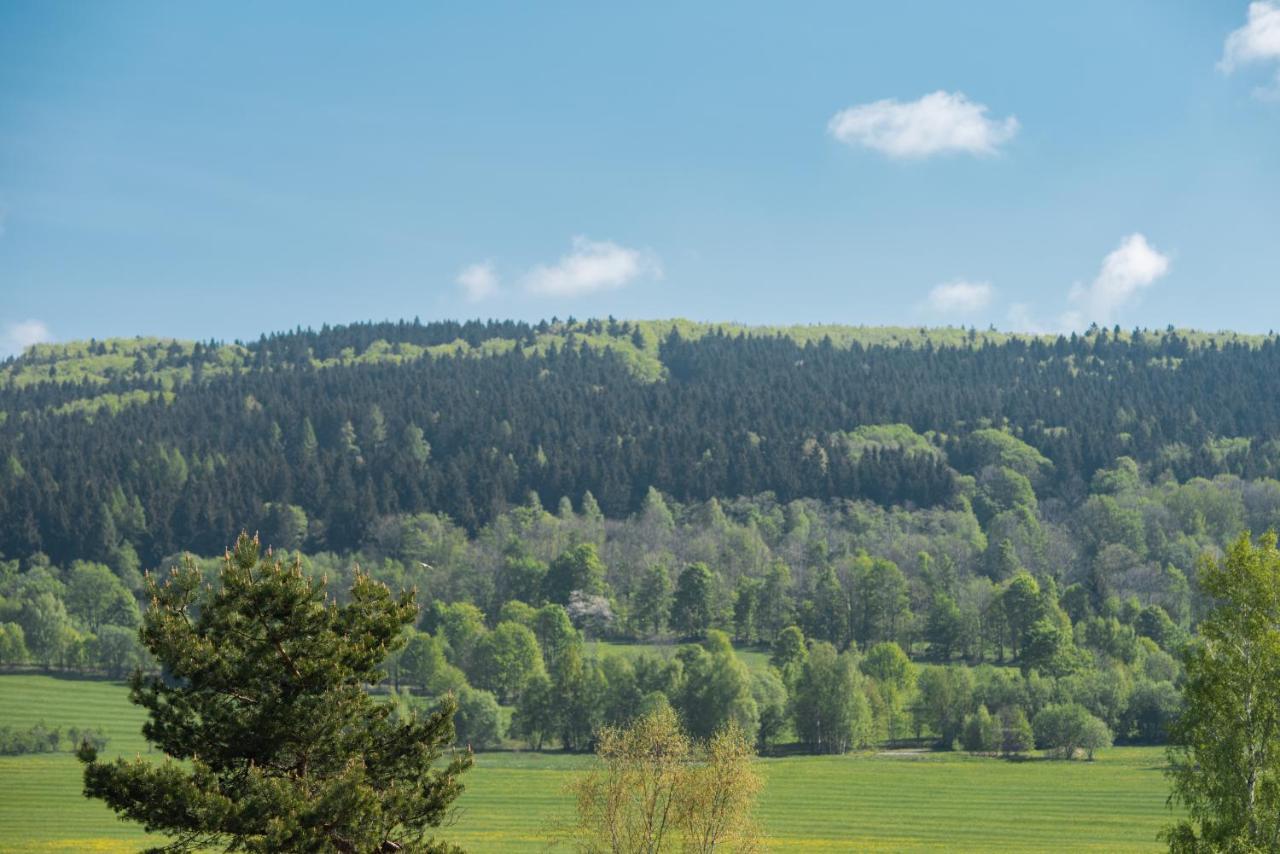 Destne Apartmany Destne v Orlickych horach Eksteriør bilde